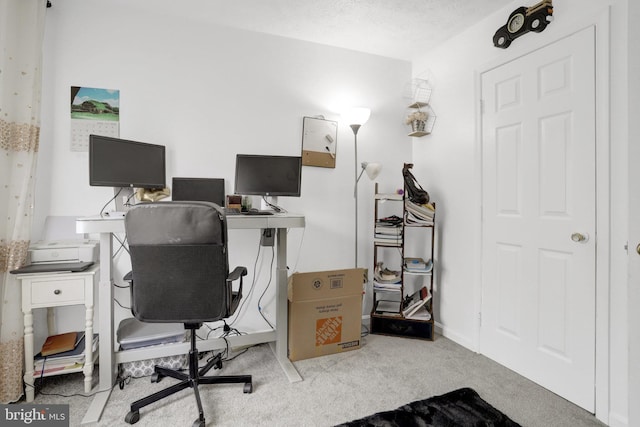 office area featuring carpet