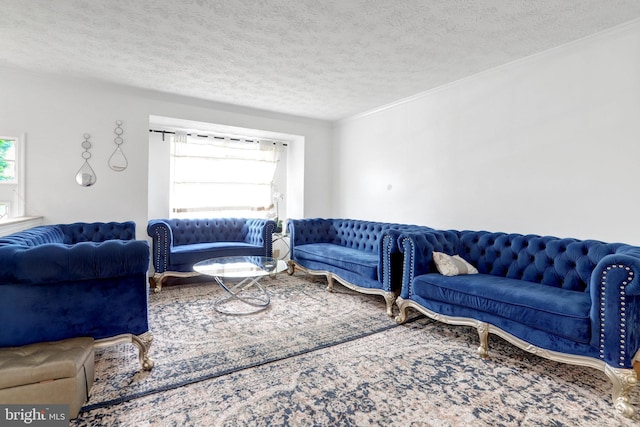 living area with ornamental molding and a textured ceiling