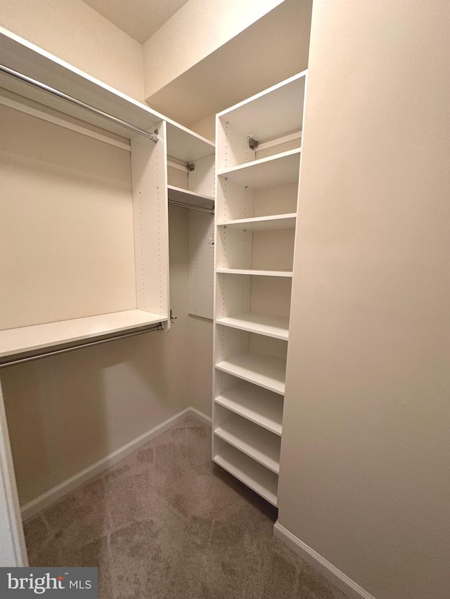 2435 Mill Race Rd, Frederick, MD 21701 - walk in closet featuring dark colored carpet