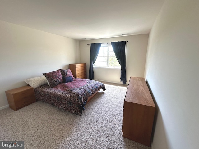 2435 Mill Race Rd, Frederick, MD 21701 - bedroom featuring carpet flooring