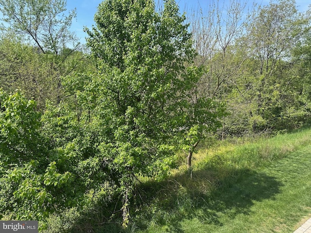 2435 Mill Race Rd, Frederick, MD 21701 - view of nature