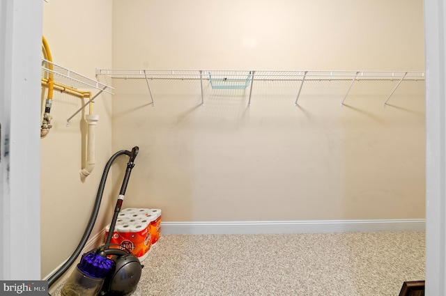 1818 Selvin Dr Unit 204, Bel Air, MD 21015 - walk in closet with carpet floors