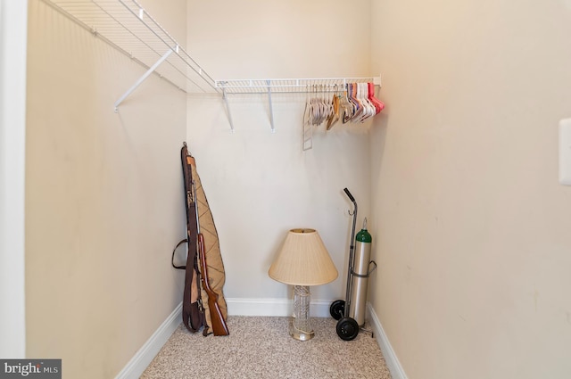 1818 Selvin Dr Unit 204, Bel Air, MD 21015 - walk in closet featuring carpet floors