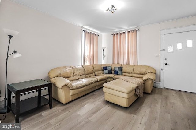 living room featuring light wood-style flooring