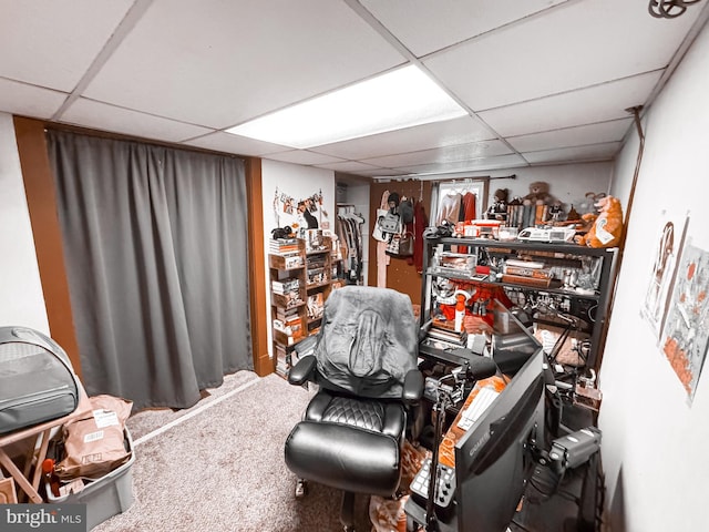 interior space with carpet and a drop ceiling