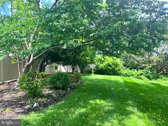 view of grassy yard