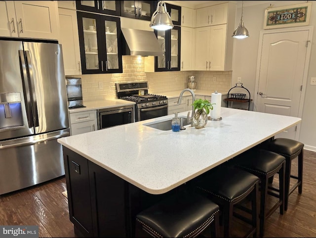 kitchen with appliances with stainless steel finishes, a sink, exhaust hood, and dark wood-style floors