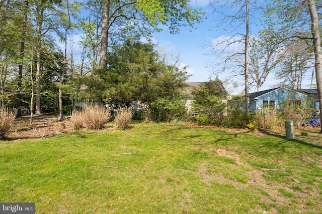 view of yard