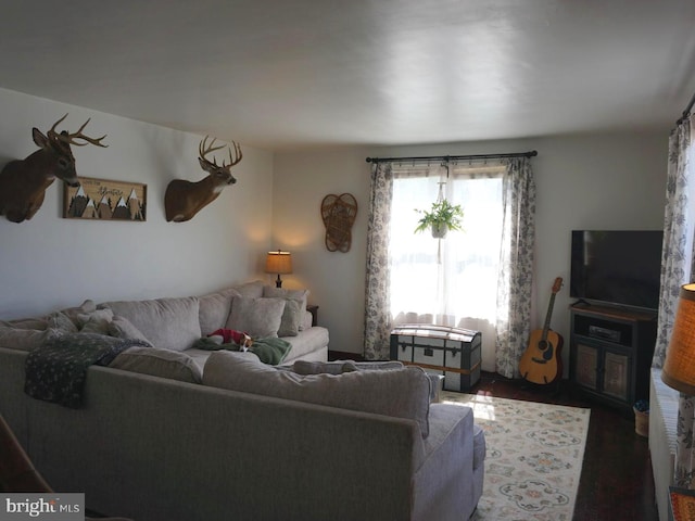 living area with wood finished floors