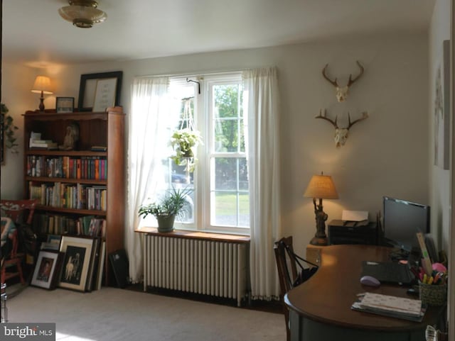 office with carpet and radiator heating unit