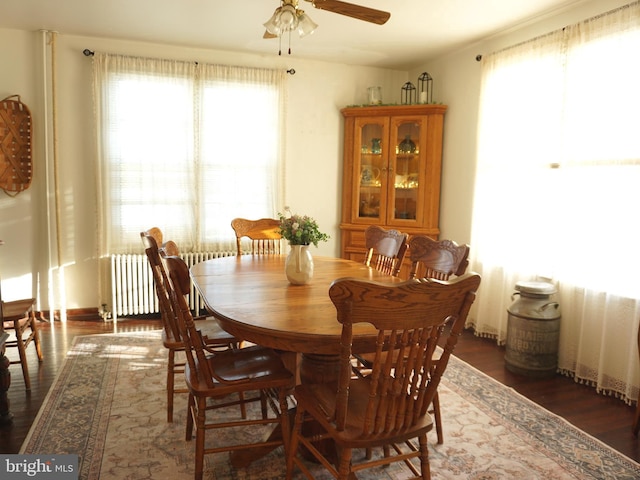 dining area with a ceiling fan, radiator, and wood finished floors