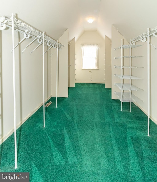 walk in closet featuring carpet flooring and vaulted ceiling