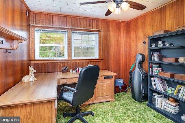 carpeted office space featuring ornamental molding, a ceiling fan, wooden walls, and plenty of natural light