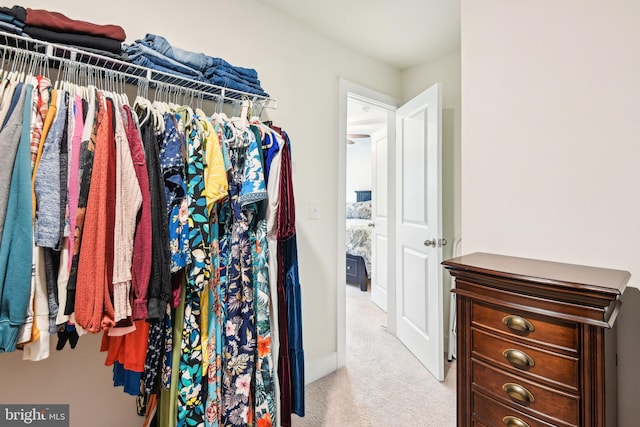 1579 Meadowlark Glen Rd, Dumfries, VA 22026 - walk in closet featuring carpet flooring