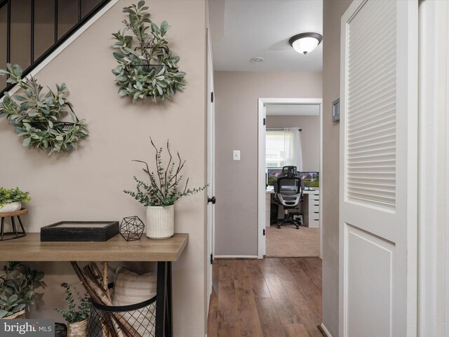 hall featuring hardwood / wood-style floors
