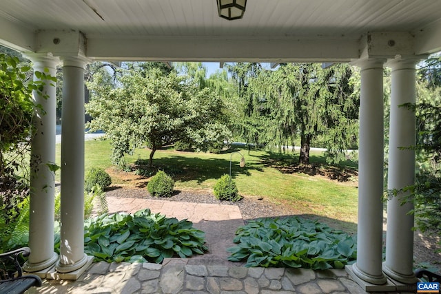 view of green lawn