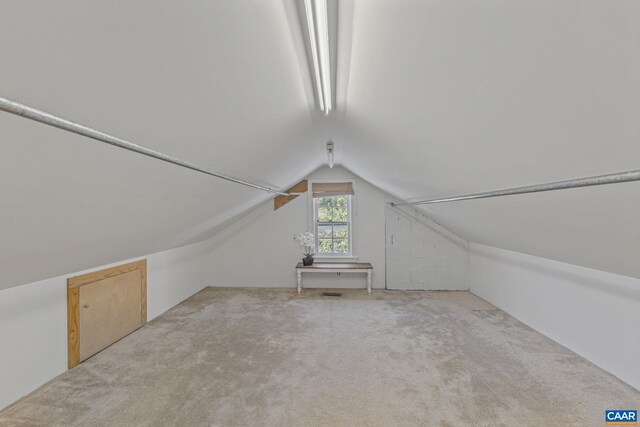 additional living space featuring lofted ceiling and carpet flooring