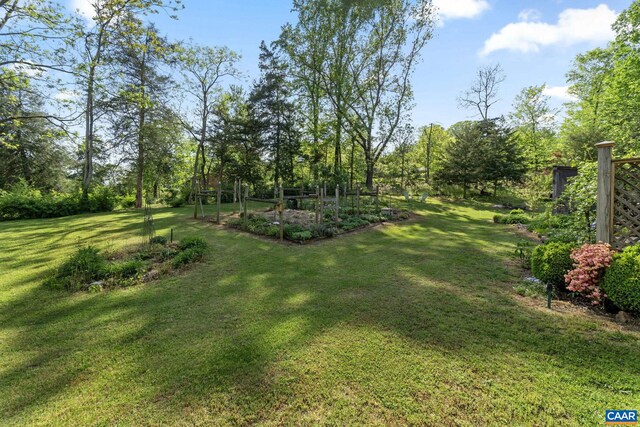 view of green lawn