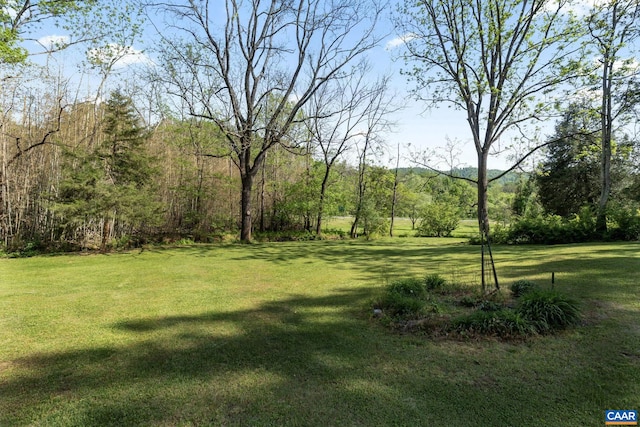view of grassy yard featuring a view of trees