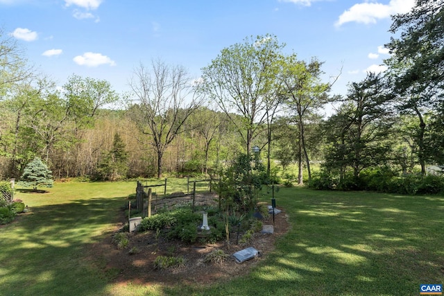 view of grassy yard