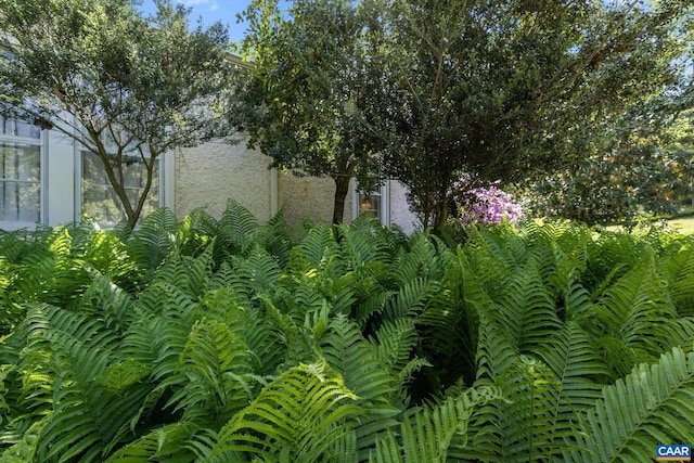 view of property exterior featuring stucco siding