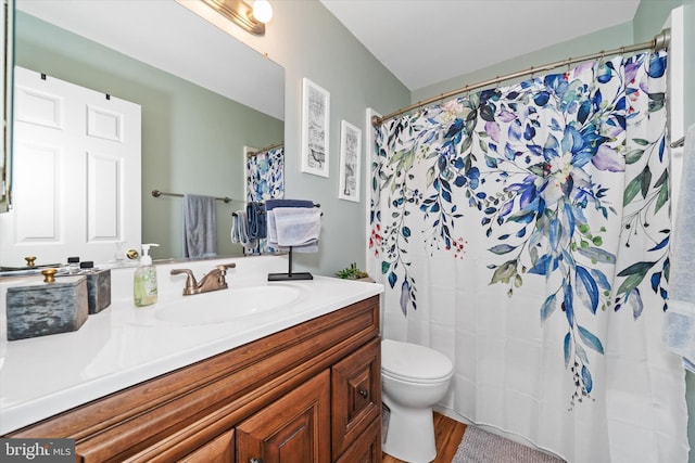 11 Gooseneck Ln, Smyrna, DE 19977 - bathroom with vanity, toilet, wood finished floors, and a shower with shower curtain