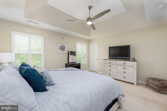 50 Wexford Ct, Morgantown, PA 19543 - bedroom with visible vents, light carpet, multiple windows, and a tray ceiling