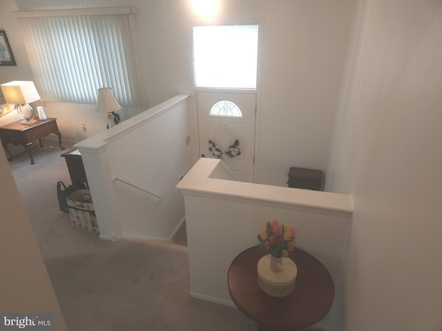 1512 Marcy Pl Unit B, Philadelphia, PA 19115 - staircase with carpet