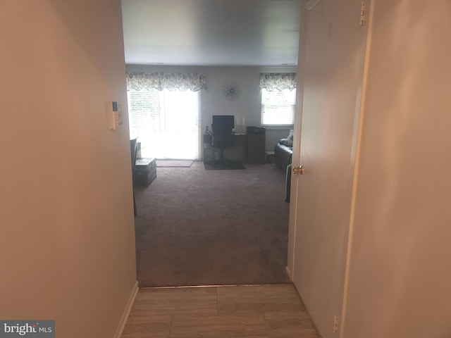 1512 Marcy Pl Unit B, Philadelphia, PA 19115 - hallway with carpet and a desk