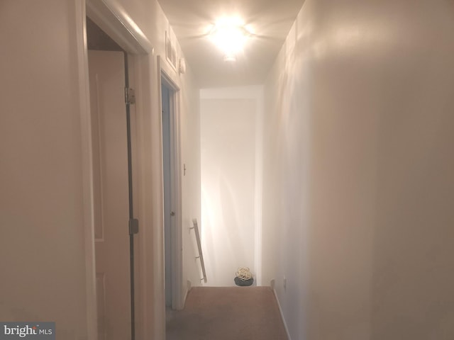 1512 Marcy Pl Unit B, Philadelphia, PA 19115 - view of hallway