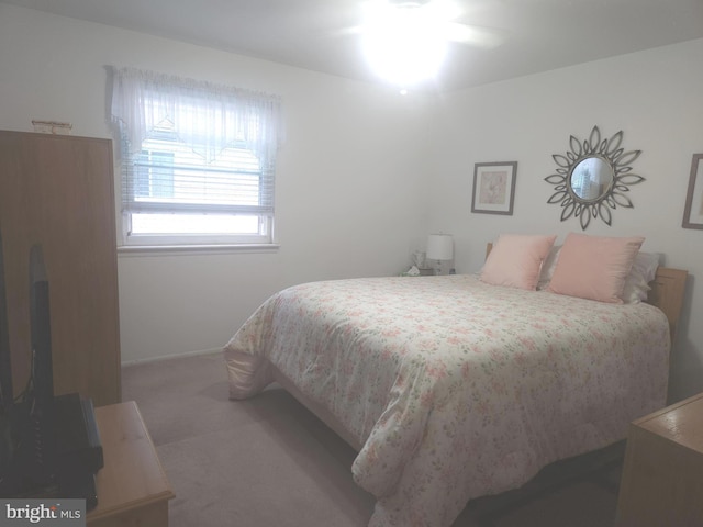 1512 Marcy Pl Unit B, Philadelphia, PA 19115 - bedroom featuring carpet floors and baseboards
