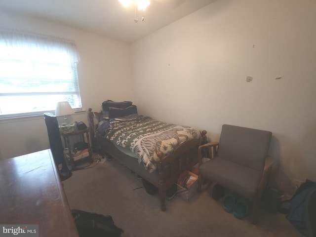 1512 Marcy Pl Unit B, Philadelphia, PA 19115 - bedroom with carpet