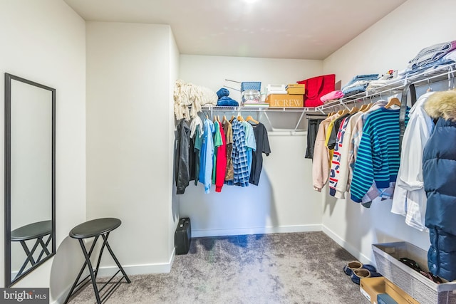 walk in closet with carpet flooring