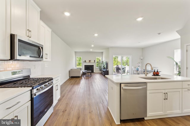 kitchen with stainless steel appliances, plenty of natural light, a sink, and a fireplace