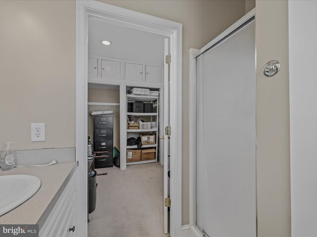 203 S George St, Charles Town, WV 25414 - bathroom featuring a stall shower and vanity
