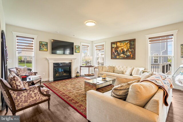 35898 Quantum Pl, Round Hill, VA 20141 - living area featuring wood finished floors, a high end fireplace, and baseboards