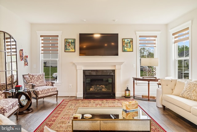 35898 Quantum Pl, Round Hill, VA 20141 - living area with wood finished floors, a glass covered fireplace, and baseboards