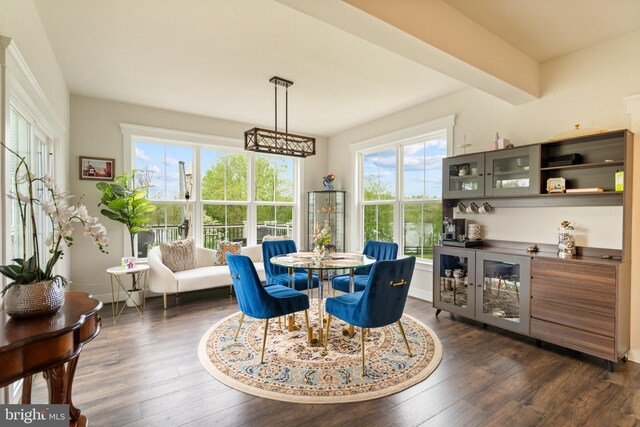 35898 Quantum Pl, Round Hill, VA 20141 - dining space with healthy amount of natural light, dark wood-type flooring, baseboards, and a bar