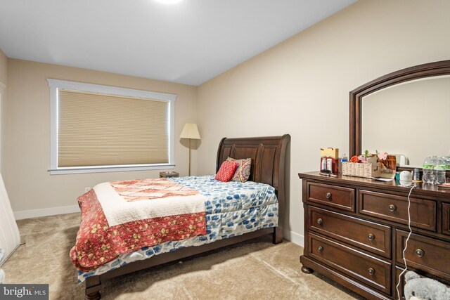 35898 Quantum Pl, Round Hill, VA 20141 - bedroom featuring light carpet and baseboards