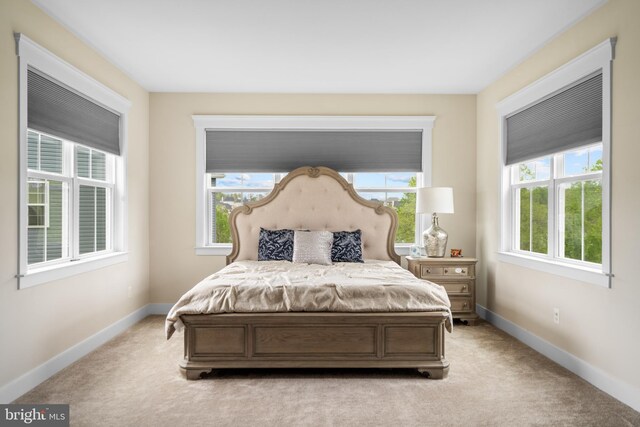 35898 Quantum Pl, Round Hill, VA 20141 - bedroom with baseboards and light carpet