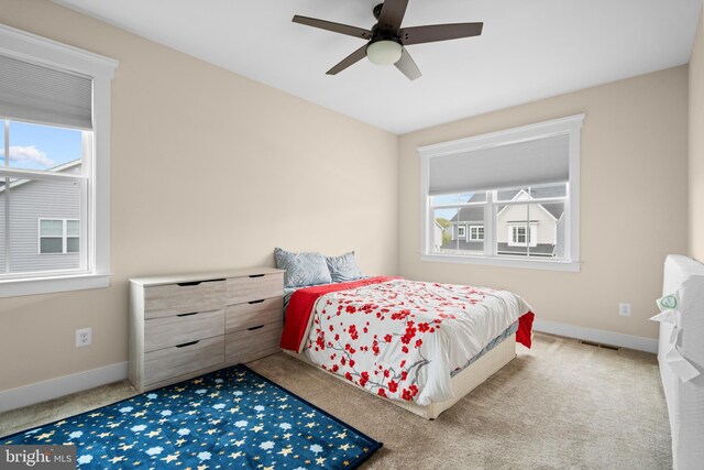 35898 Quantum Pl, Round Hill, VA 20141 - carpeted bedroom with multiple windows, baseboards, and a ceiling fan