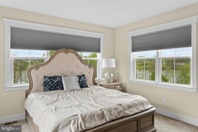 35898 Quantum Pl, Round Hill, VA 20141 - bedroom featuring baseboards, multiple windows, and light colored carpet