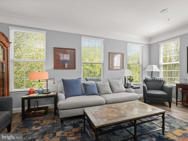 living area with crown molding, baseboards, a healthy amount of sunlight, and wood finished floors