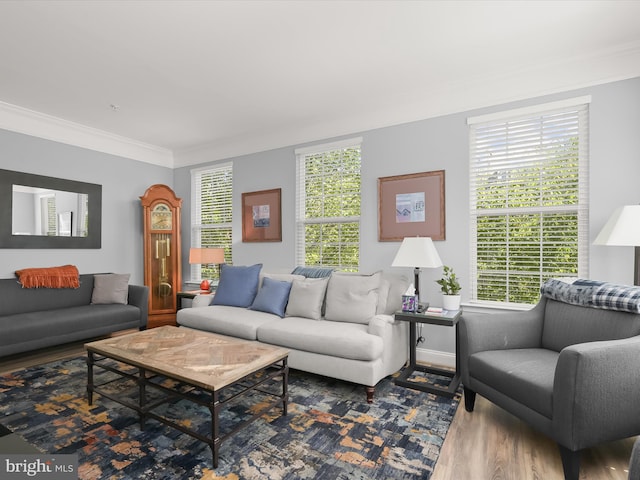 living area with ornamental molding, wood finished floors, and a wealth of natural light