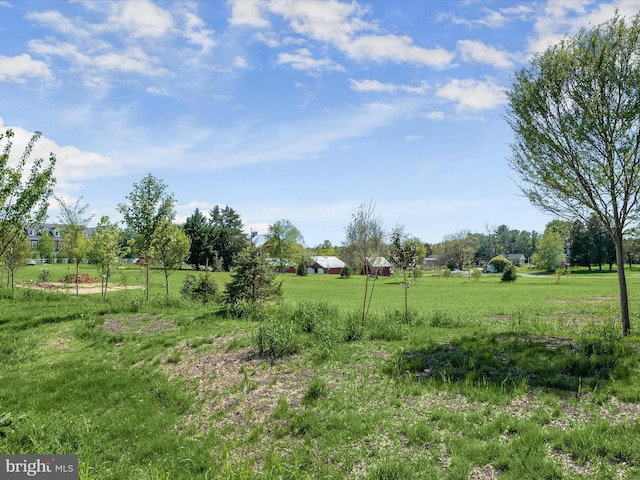 view of nature