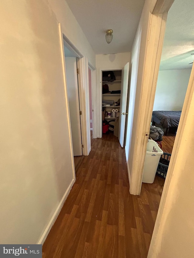 hall featuring dark wood-type flooring