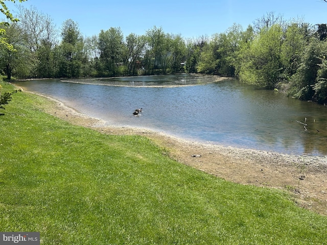 water view featuring a view of trees