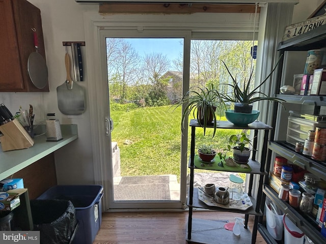 entryway with wood finished floors