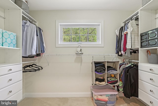 spacious closet with carpet floors
