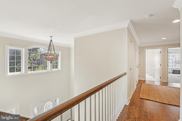 hallway with a chandelier, wood finished floors, a healthy amount of sunlight, and crown molding